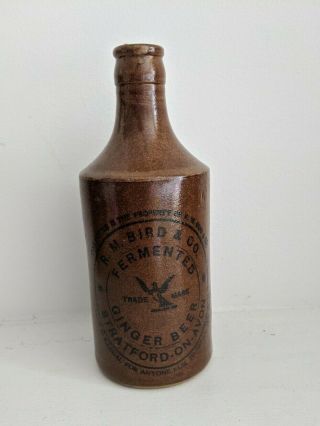 R.  M.  Bird Stoneware Pottery Ginger Beer Bottle Strattford On Avon Antique