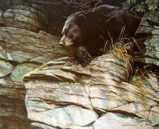Vintage Art Robert Bateman 2 In 1 Black Bear 1980 Chimney Swift Nest 1978 Folk