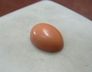 Antique Carved Oval Undyed Coral Cabochon Stone 17mm X 12mm X 8mm X