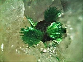Agardite - Ce Rare Mineral Micromount From Germany