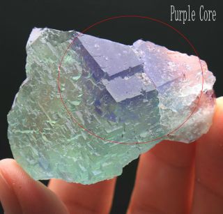 76g Rare Ladder - Like Green‘purple Core’ Fluorite Crystal Mineral Specimen/china