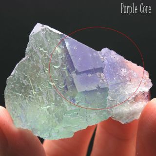 76g Rare Ladder - like Green‘Purple core’ Fluorite Crystal Mineral Specimen/China 2