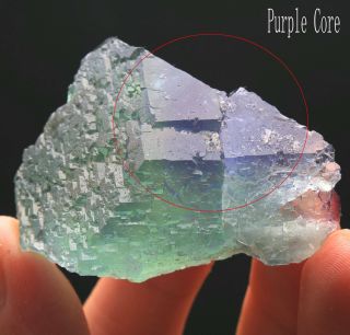 76g Rare Ladder - like Green‘Purple core’ Fluorite Crystal Mineral Specimen/China 3