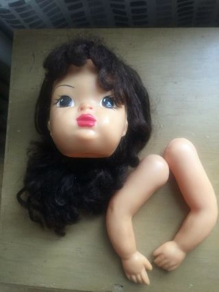 Vintage 16 " Tall Hard Plastic Terri Lee Doll Parts: Left And Right Arm,  & Head