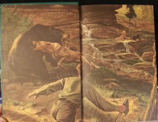Vintage Book Old Yeller Fred Gipson 1st Edition 1956 Hardcover 2