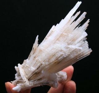 161g Rare Natural Scolecite Crystal Mineral Spray Cluster / India 161