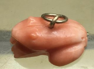 Antique Carved Salmon Coral Frog 14k Bail Charm Or Pendant
