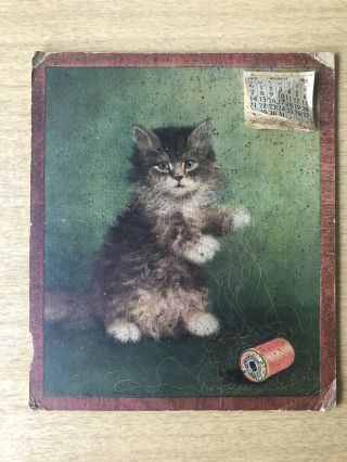 Antique 1915 Corticelli Silk Mills Silk Thread Kitten Art Calendar Advertising