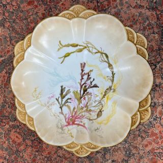 Rare Antique Royal Doulton Burslem Hand Painted Seaweed Oyster Plate 1886 - 1902