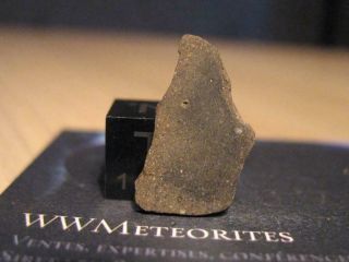 Meteorite Nwa 11085 - Rare Very Primitive Carbonaceous Chondrite : Co3.  0
