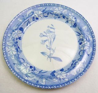 Stunning Wedgwood 19th Century Blue White Antique 9 3/4 " Dinner Plate 40 C1860