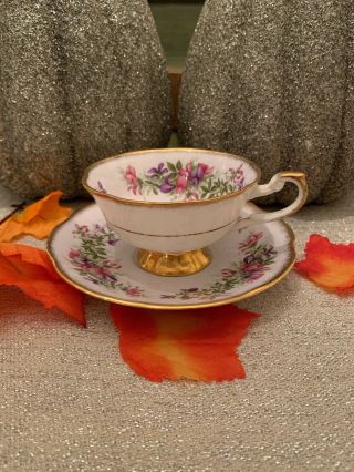 Vintage Tea Cup & Saucer Fine Bone China Rosina " Wild Flowers " (rare Find)