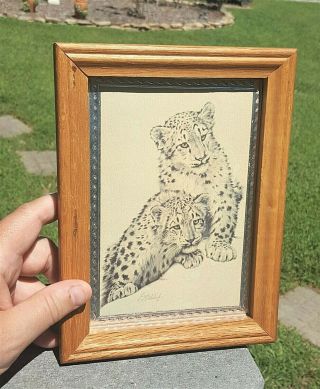 4x6 Vintage Framed Art Print: Guy Coheleach Baby Snow Leopard Cubs 70 