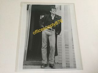 Rare Sylvester Stallone 8x10 Press Promo B&w Photo Cobra 1986 Sexy & Hot