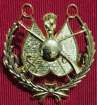 Iraq/iraqi Armed Forces Commanders Beret Golden Pin Badge.  Rare & Hard To Find