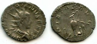 Rare Silver Antoninianus Of Saloninus Caesar (258 - 260 Ad),  Lyons,  Roman Empire