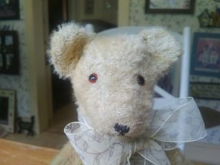 Antique Vintage Old 1950s Mohair Teddy Bear Excelsior Stuffed 12in Gc,