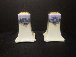 Vintage Uno Favorite Bavaria Hand Painted Salt And Pepper Shakers Gold