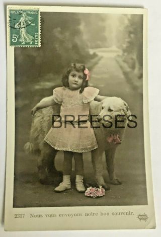 Antique Photo Postcard Pretty Girl In Pink With Great Pyrenees,  Stamp & Message