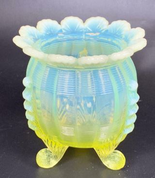 Antique Northwood Vaseline Opalescent Glass Klondyke Fluted Scroll Footed Jar 4 "