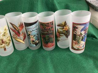 Set Of 6 Tommy Bahama Frosted High Drink Glasses,  Gorgeous Rare 7”tall,  Look