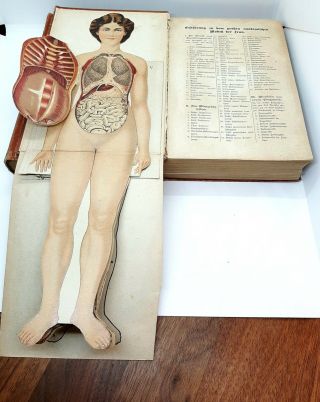 Rare Antique Medical Book s German Edition Science Medicine,  Anatomy Dr.  F.  König 2