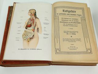 Rare Antique Medical Book s German Edition Science Medicine,  Anatomy Dr.  F.  König 3