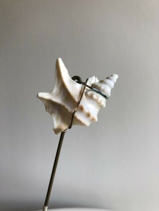 Vintage Antique Edwardian Arts And Crafts Conch Shell Hatpin
