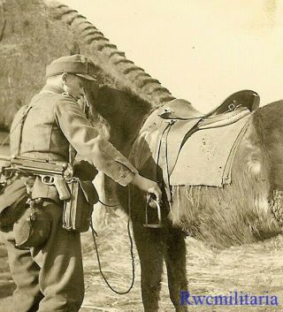 Rare Wehrmacht Kavallerie Soldier W/ Mp - 40 Sub - Mg Readying His Horse; Russia