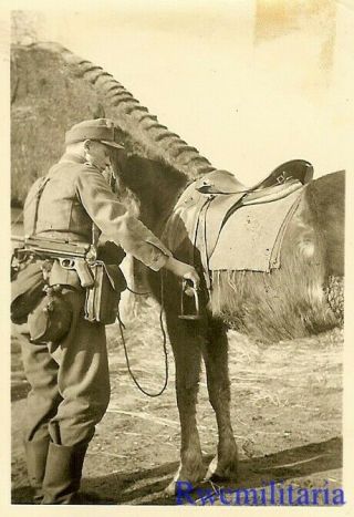 RARE Wehrmacht Kavallerie Soldier w/ MP - 40 Sub - MG Readying His Horse; Russia 2