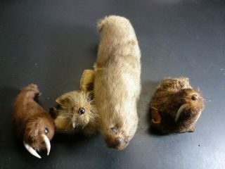 Vintage Real Fur Walruses,  Made From Real Seal Fur,  Set Of 4