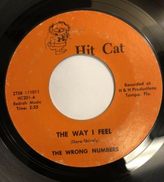 The Wrong Numbers The Way I Feel / I Wonder Why Hit Cat Rare Fl Garage 45