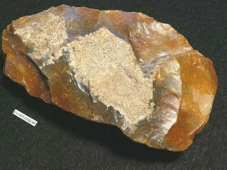 8500y.  O: Wonderful Ax Adze 117mms Danish Stone Age Mesolithic Flint Maglemose C