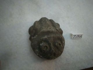 Pre - Columbian Soutern Arawak Rare Basalt Frog Amulet 300bc - 1400ad