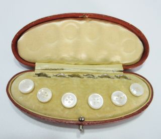 Antique Mother Of Pearl Buttons Case Set Of 6