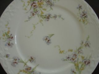 Antique Theodore Haviland Limoges France Porcelain Plate Wild Flowers & Bow 9 "