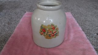 Antique Stoneware 1 Gallon Salt Glazed W/ Flowers Crock