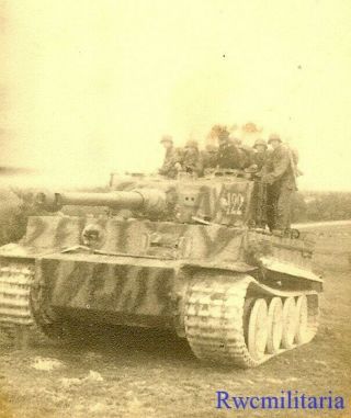 Rare German Elite Waffen Camo Pzkw.  Vi Tiger Panzer Tank " 122 " ; 1943 (1)