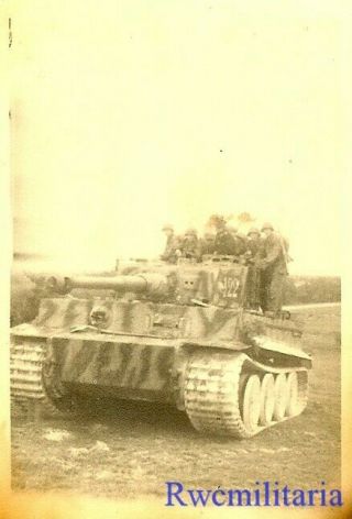RARE German Elite Waffen Camo Pzkw.  VI TIGER Panzer Tank 