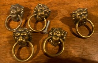 Lion Head Cabinet Pulls - Solid Brass - 5 Piece Set - Vintage Hardware