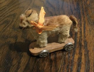 Antique Tiny 2.  5” Miniature Mohair Dog Toy With Glass Eyes,  On Rolling Platform