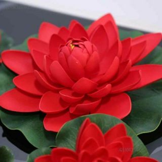 10 Seeds Bali Red Lotus Rare Nelumbo Plant Seeds Aquatic Plants Water Lilly