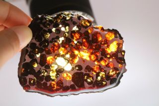50g Rare Slices Of Kenyan Pallasite Meteorite Olive R4057