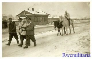 RARE Luftwaffe Field Division Truppe in Camo on Move in Russian Winter (1) 2
