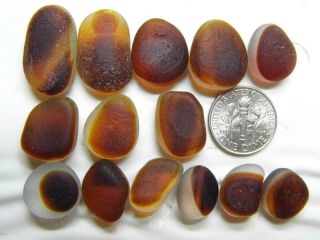 14 Multi S - L Amber Orange Nut 1.  12oz Jq Rare Seaham English Sea Glass
