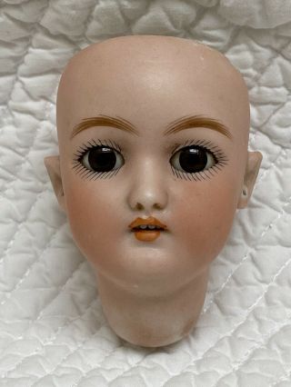 Small Rare Antique German Bisque Doll Head Only Franz Schmidt Co.  Pierced Ears