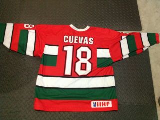 Rare iihf Mexico game worn hockey jersey.  Women ' s national team.  Medium 2