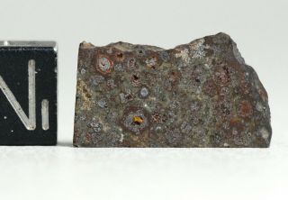 Meteorite Nwa 6358 - Rare Cv3 Carbonaceous Chondrite - Part Slice