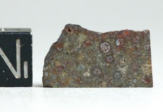 Meteorite NWA 6358 - rare CV3 Carbonaceous Chondrite - part slice 2