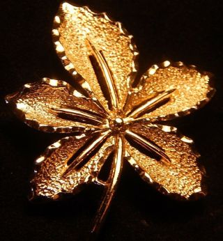 Vintage Sarah Coventry Gold Tone Leaf Brooch Check It Out
